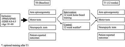 Arm Ergometry to Improve Mobility in Progressive Multiple Sclerosis (AMBOS)—Results of a Pilot Randomized Controlled Trial